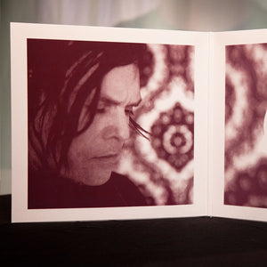 "Windows in the Sky" [Double LP Vinyl]