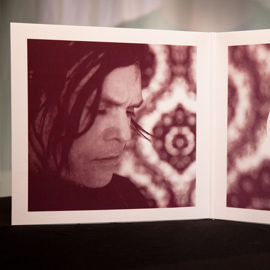 "Windows in the Sky" [Double LP Vinyl]