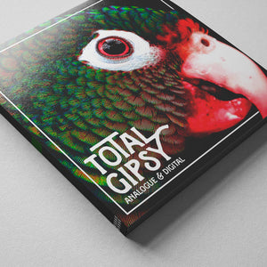 "Digital & Analogue" by Total Gipsy [Vinyl]