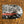 Load image into Gallery viewer, &quot;The Uplifting Sound... Live in Shanghai, May 8th, 2011&quot; [DVD]
